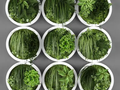 Collection of Vertical garden - 20