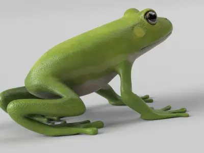 Tree Frog Low-poly 3D model