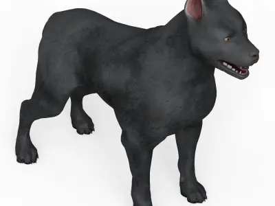 Black Dog Low-poly 3D model