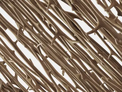 Branch crooked ceiling n1 3D model