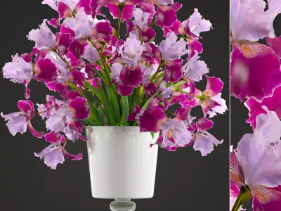Flower bouquet of iris 3D model