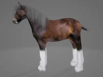 Horse Shire 3D model