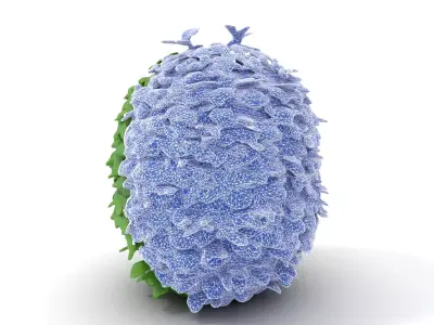 Leafy Bush Sphere model pack Low-poly 3D model