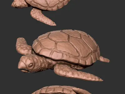 Turtle Low-poly 3D model