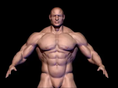 body builder base meash  Low-poly 3D model