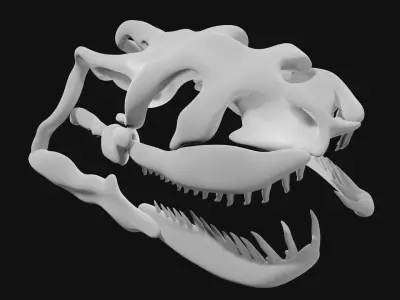 Anaconda skull of anaconda skeleton 3D model