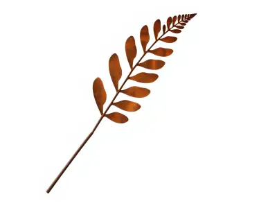 Realistic Fern Leaf Model Pack for D Rendering and Gaming Low-poly 3D model