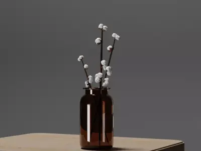 Cotton Branches Plant in Amber Glass Jar 3D model