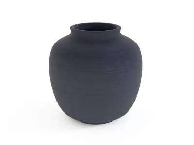 Nature-Inspired Botanical Vase 3D model