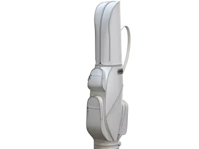 Leather golf bag Low-poly 3D model