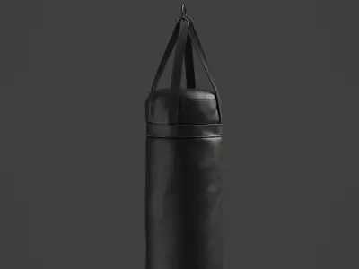 Punching Bag 4 3D model
