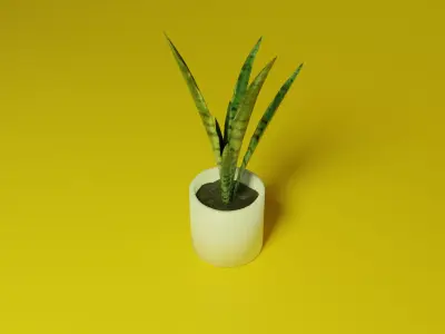 Sansevieria indoor plant PBR Ready for Unreal Engine 5 Low-poly 3D model