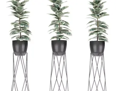 Plant in Pot Flowerpot Exotic Plant 3D model 15