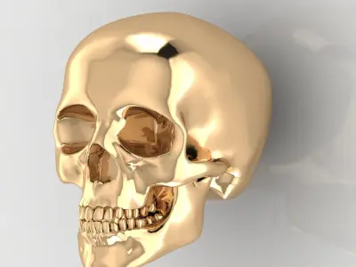 Skull 12 3D print model