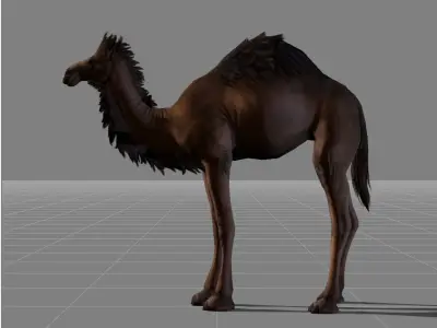 Camel animal 3D model