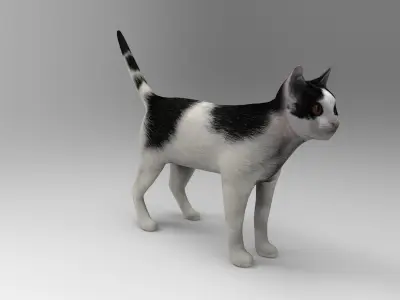 White Black Cat model 3D  Low-poly 3D model