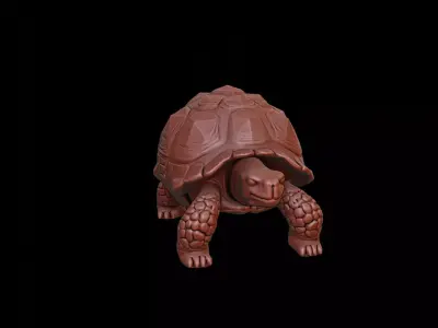 Tortoise Animal Sculpture 3D print model