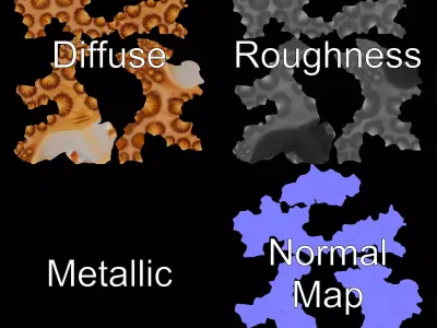 Spiny Conch Shell model pack Low-poly 3D model