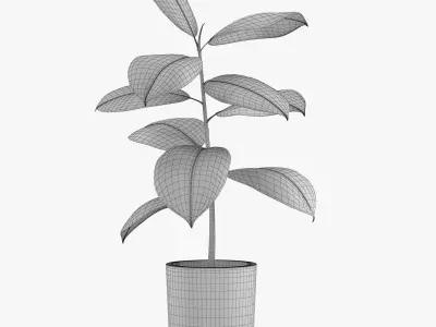 Pot Plant 21 3D model