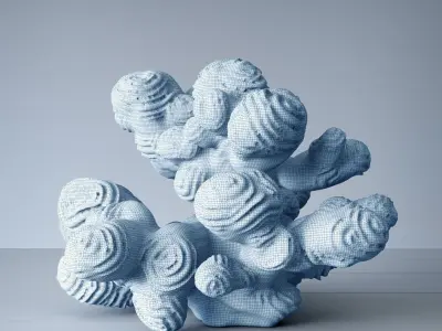 Author sculpture coral 3D model