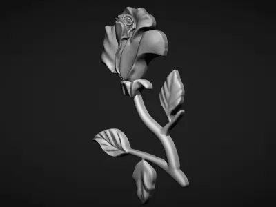 Rose bas relief 3D print model buy