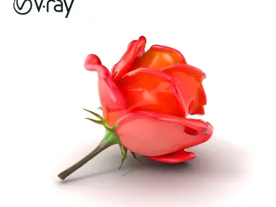Vibrant Rose Flower Sculpture model pack Low-poly 3D model