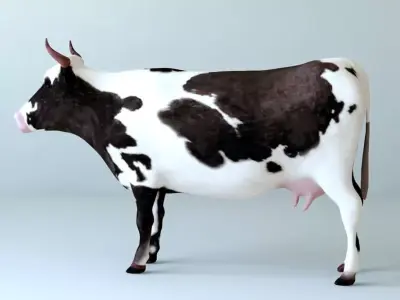 Cows full body Low-poly 3D model