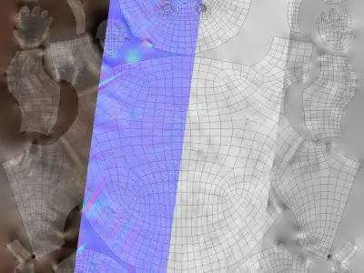 Tachyglossus aculeatus 3D model