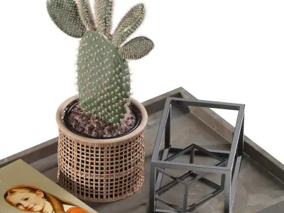 Coffee set 14 - tray pot cup books figurine plant pot  3D model