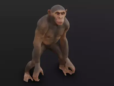 Animated Monkey 3D Model Low-poly 3D model