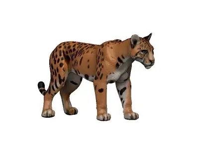 Florida Panther Low-poly 3D model