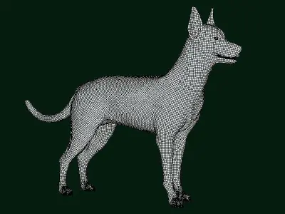 Zwergpinscher Dog Breed 3D model