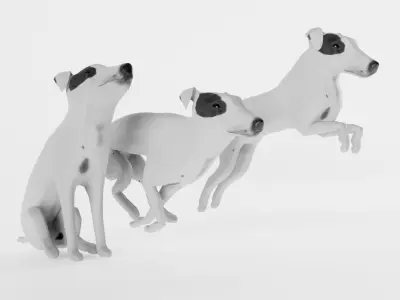 Smooth Fox Terrier Low-poly 3D model
