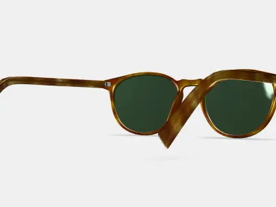 Butler Sunglasses in Butterscotch Tortoise 3D model
