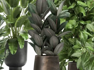 Plants in a rusty flowerpot for the interior 1042 3D model