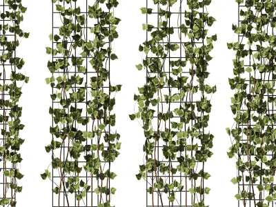 Ivy On Trellis - Set1 3D model