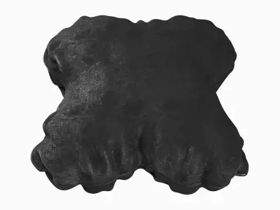 Star Shaped Pillow 3D model