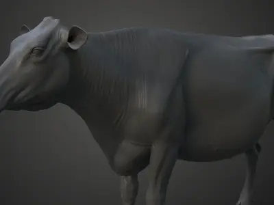 Holstein Female Model Low-poly 3D model
