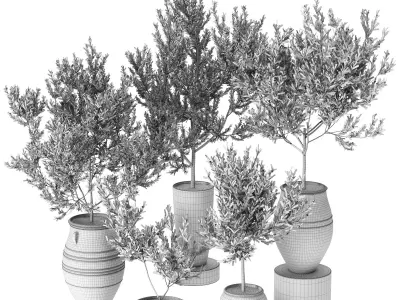 plant in pots  set 12 3D model