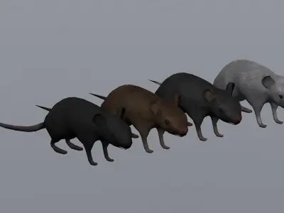 Mouse lowpoly  Low-poly 3D model
