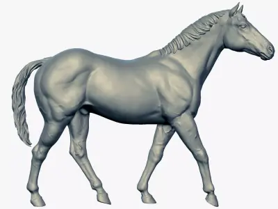 Horse Statue Sculpture 5 for 3D printing and CNC carving 3D print model