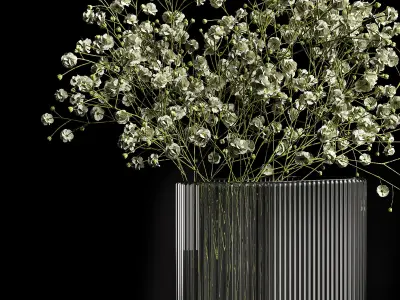 A bouquet of gypsophila 3D model