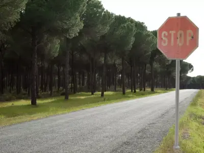 Road Sing STOP 3D model