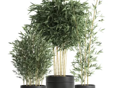 Bamboo bush for the interior in a black flowerpot 582 3D model