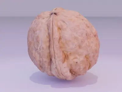 Walnut fruit 04 high-poly 3D model