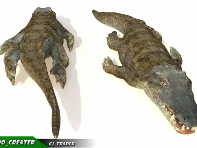 Crocodile Rig Animated LowPoly 3d model Low-poly 3D model