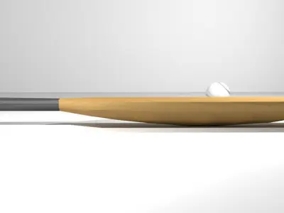 Sport Equipment - Cricket 3D model