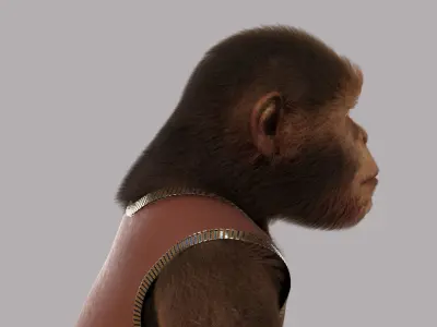 Cartoon Monkey NoRig 3D model