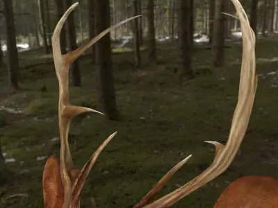 low poly deer rigged  Low-poly 3D model