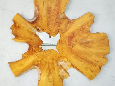 Organic Root Slice Mirror 3D model